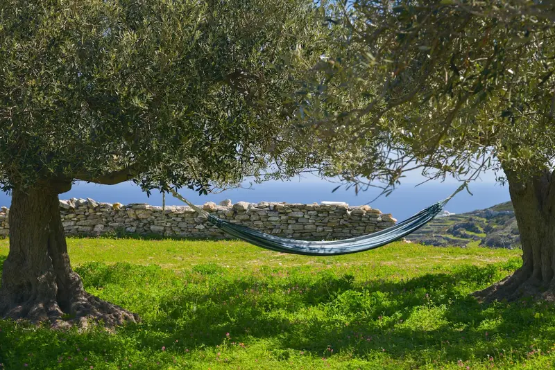 Aqua Vista Σίφνος - Εξοχικό με Βεράντα με Θέα στη Θάλασσα σε Ελαιώνα – 7