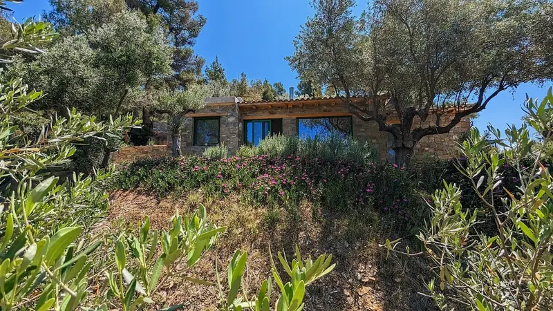 Aqua Vista Σιθωνία - Πέτρινο Σπίτι σε Ελαιώνα κοντά στην Παραλία Ελιά – 5