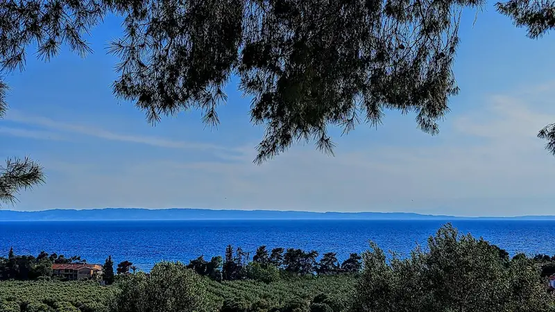 Aqua Vista Σιθωνία - Πέτρινο Σπίτι σε Ελαιώνα κοντά στην Παραλία Ελιά, Elia