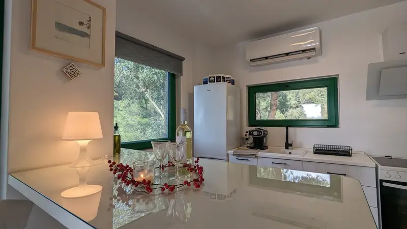 Aqua Vista Σιθωνία - Πέτρινο Σπίτι σε Ελαιώνα κοντά στην Παραλία Ελιά – 6