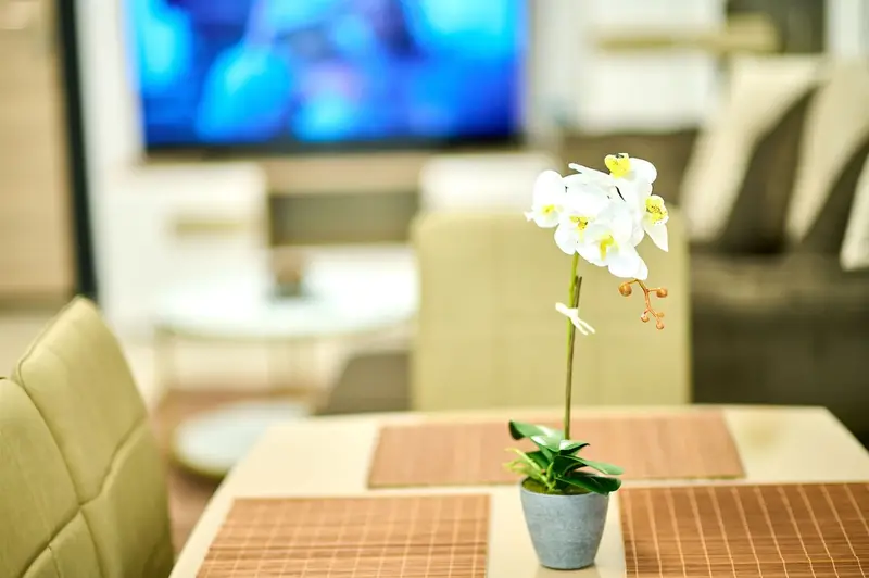 Sunset view Apartment- Spa Pools Resort – 29