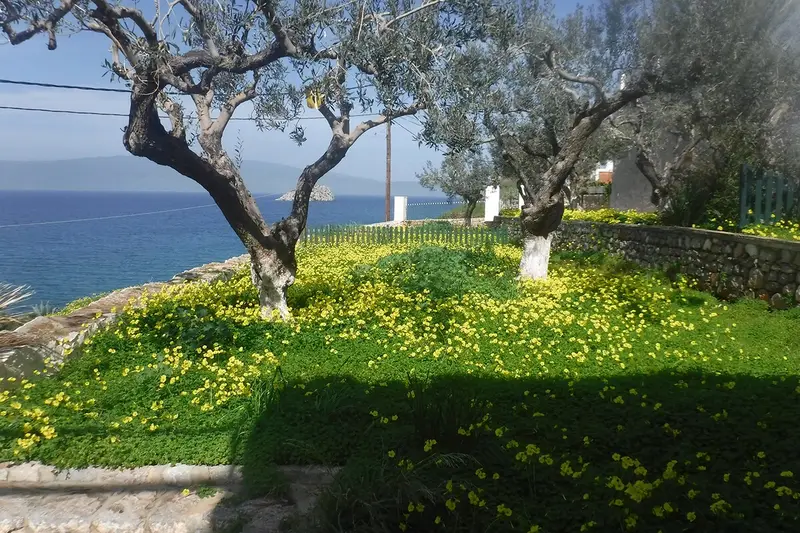 Aqua Vista Ύδρα - Παραθαλάσσιο Σπίτι με Κήπο στη Σκιά των Πεύκων στις Πλάκες – 2