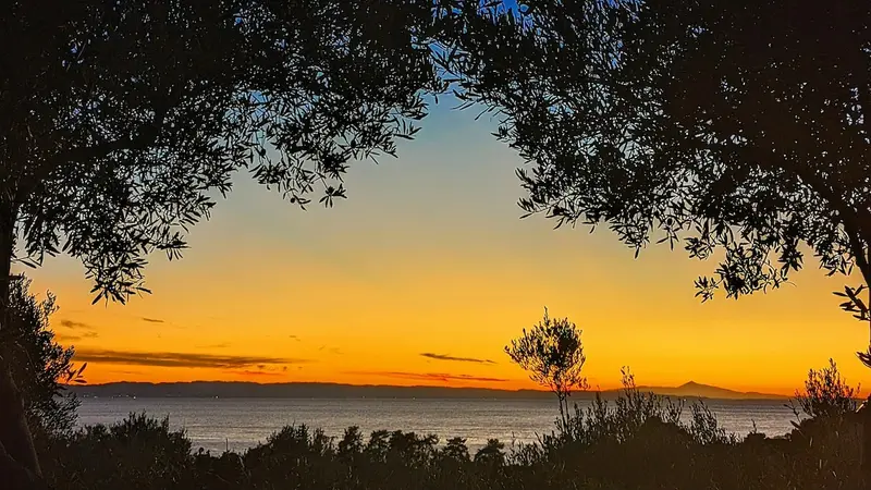 Aqua Vista Σιθωνία - Πέτρινο Σπίτι σε Ελαιώνα κοντά στην Παραλία Ελιά – 10