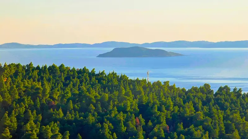 Aqua Vista Σιθωνία - Πέτρινο Σπίτι σε Ελαιώνα κοντά στην Παραλία Ελιά – 11