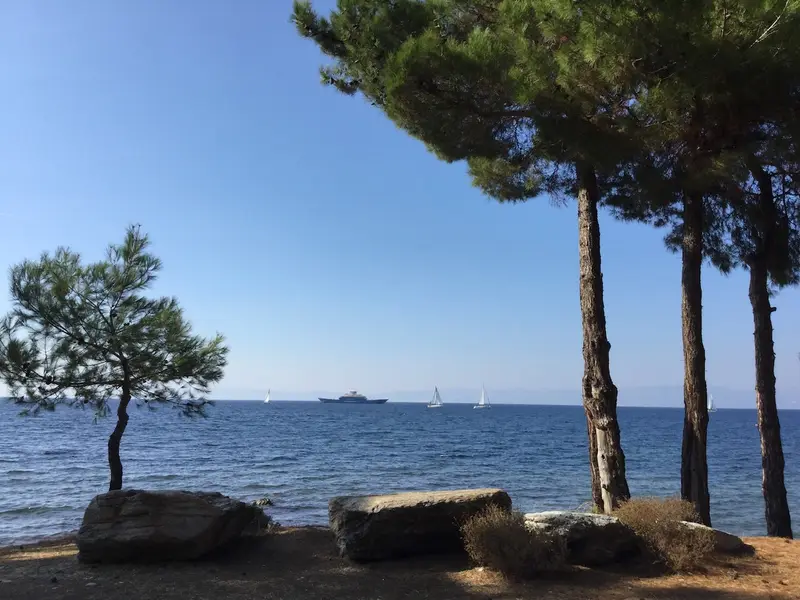 Aqua Vista Θάσος - Παραθαλάσσιο Σπίτι ανάμεσα στα Πεύκα στη Σκάλα Ραχωνίου, Skala Rachoniou