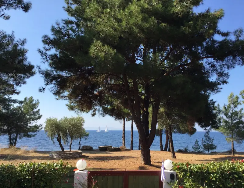 Aqua Vista Θάσος - Παραθαλάσσιο Σπίτι ανάμεσα στα Πεύκα στη Σκάλα Ραχωνίου – 2